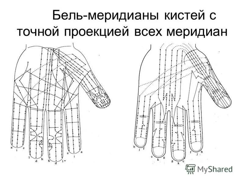 Су джок академия сайт. Бель меридианы Су Джок. Су Джок точки Бель меридианов. Бель меридианы Су Джок 6 ки. Су Джок Меридиан желчного пузыря.