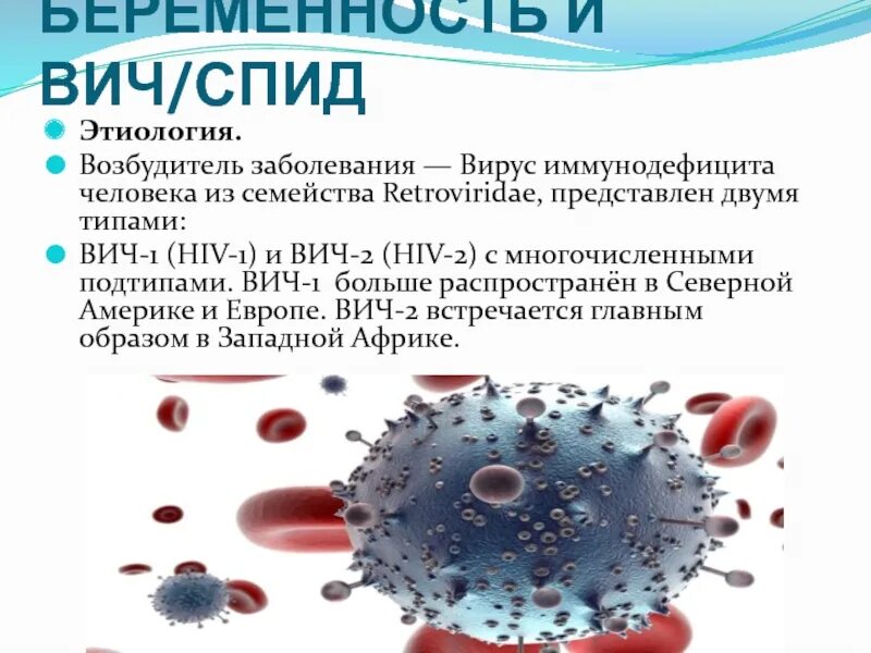 Вирус вич. Возбудитель вич инфекции. Возбудитель иммунодефицита человека. Вич характеристика возбудителя. Вич 1 и вич 2.
