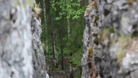 Узкое видео
