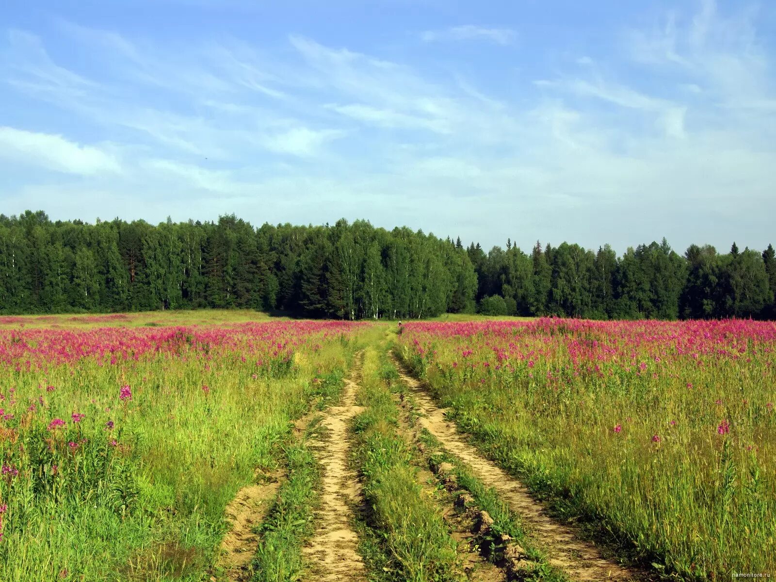 Кф поля. Луга нижегородской области. поля нижегородской области. поля татарстана. поле калужская область.
