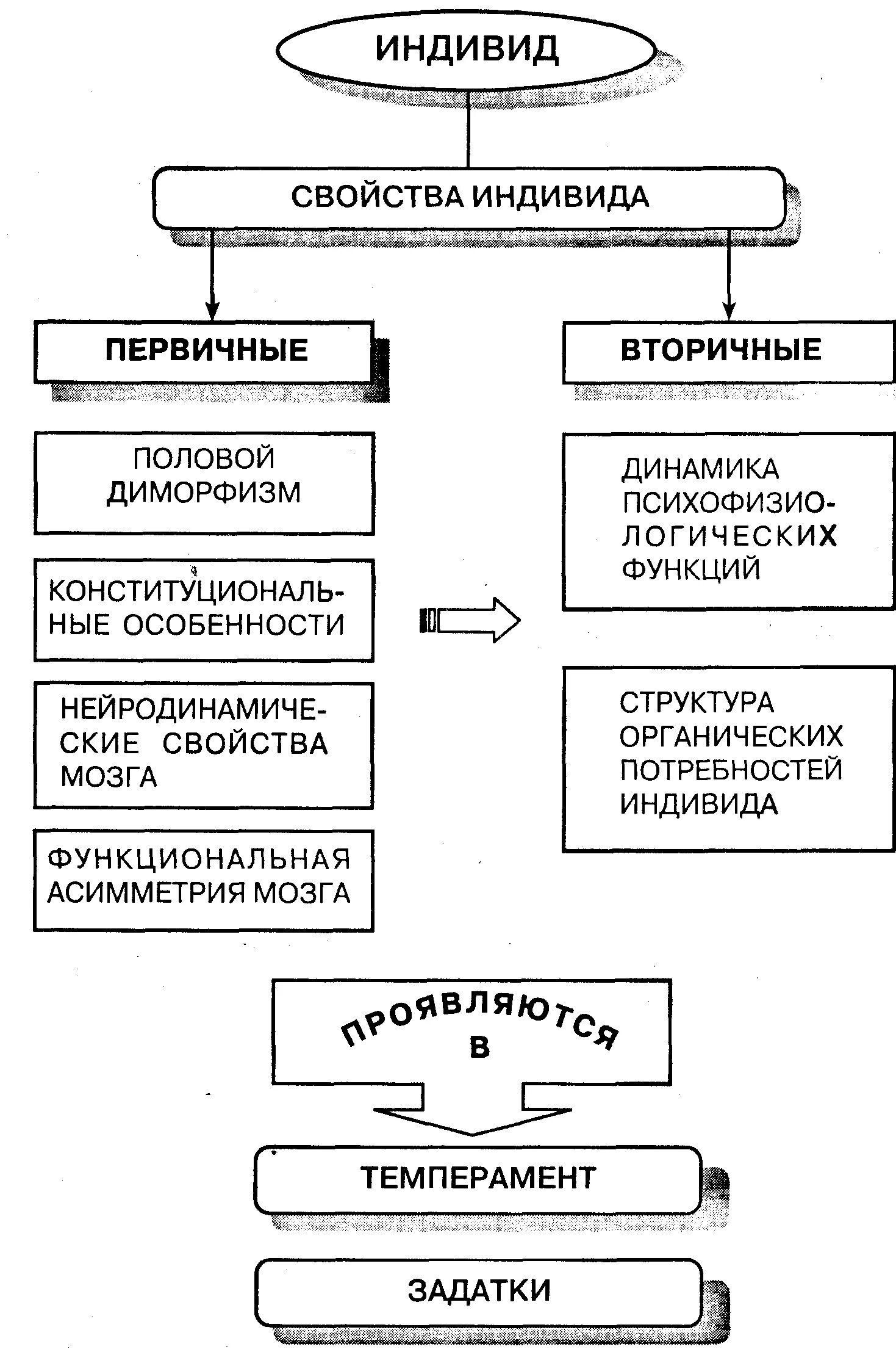 строение личности по ананьеву. индивидные характеристики человека пример. ананьев структура личности индивид. структура индивидуальности в психологии. уровни структуры личности.