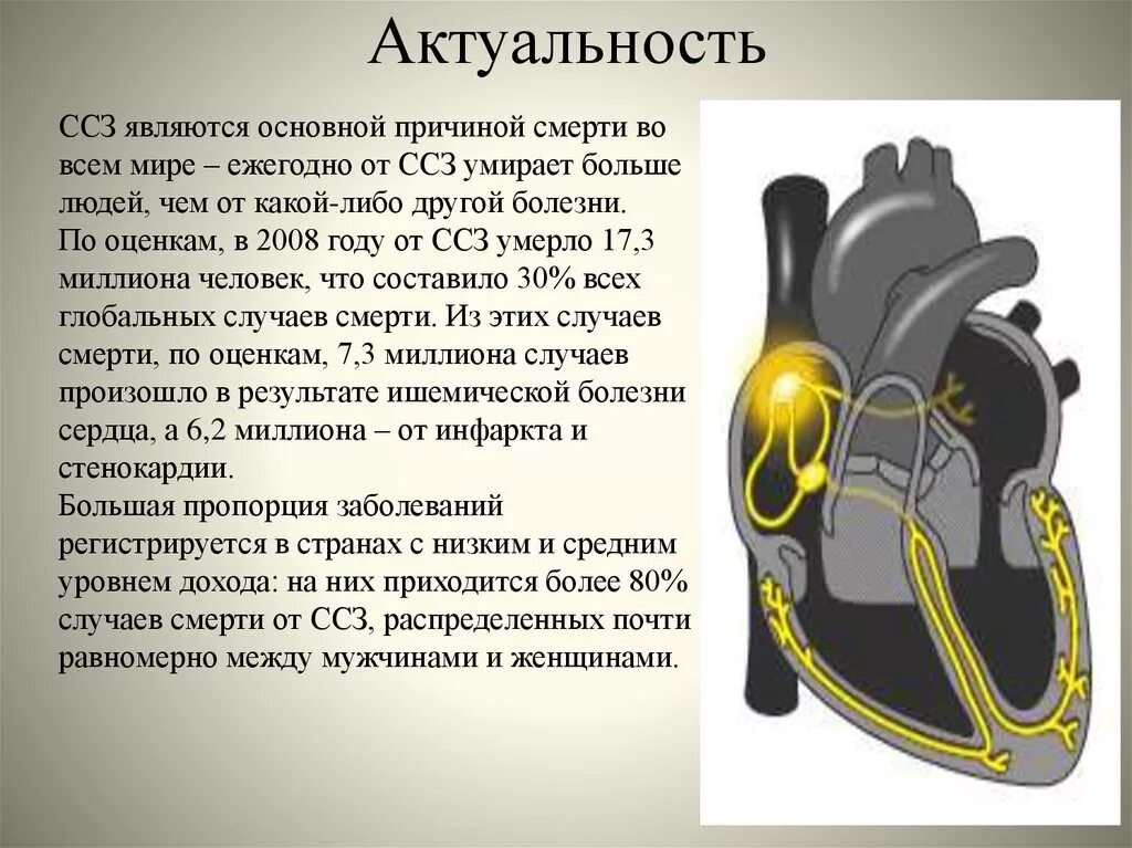 Умирают сердечно сосудистых заболеваний. Актуальность ССЗ. Актуальность сердечно-сосудистых заболеваний. Актуальность изучения сердечно-сосудистых заболеваний. Актуальность темы сердечно сосудистых заболеваний.