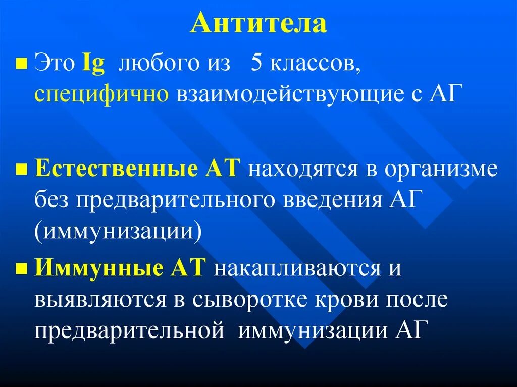 Антигены антитела иммунный ответ. Антитела это. Естественные и иммунные антитела. Антитела а/э-. Антитела это кратко.