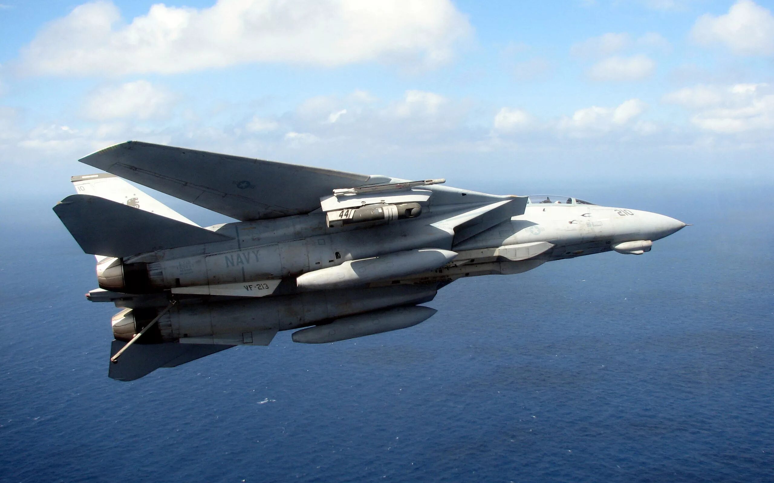 Grumman f 14 tomcat. Ф-14 томкэт. f-14d tomcat истребитель. f 14 истребитель. grumman f-14a tomcat.