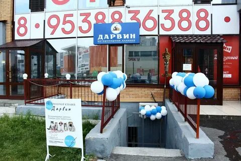 Дарвин ветклиника ульяновск верхняя