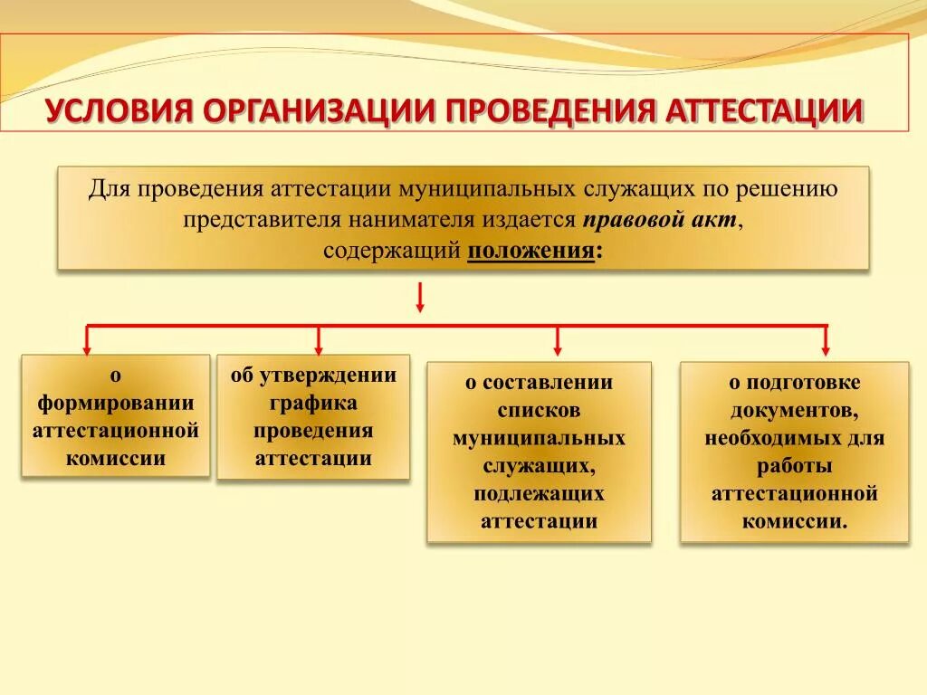 Порядок проведения аттестации муниципальных служащих. Условия организации проведения аттестации. Этапы проведения аттестации муниципальных служащих. Алгоритм проведения аттестации в органах местной власти.. Подготовка организации к аттестации