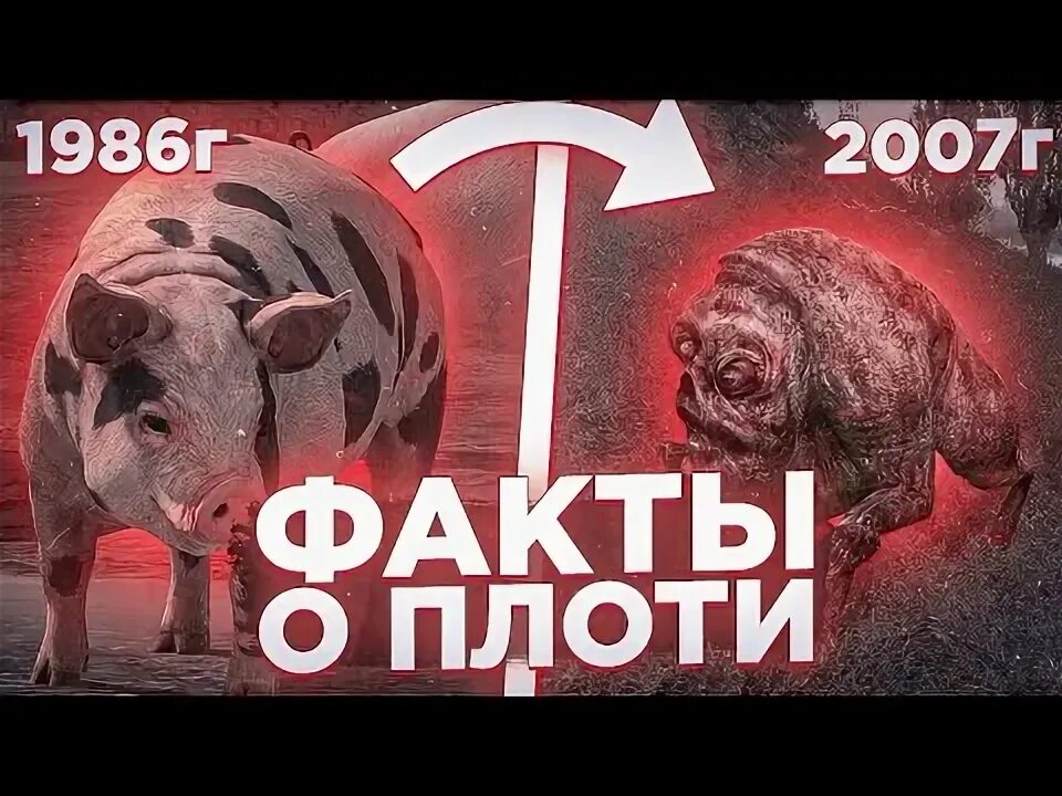 Говорят плоть. Говорят плоть