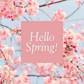 Spring begins