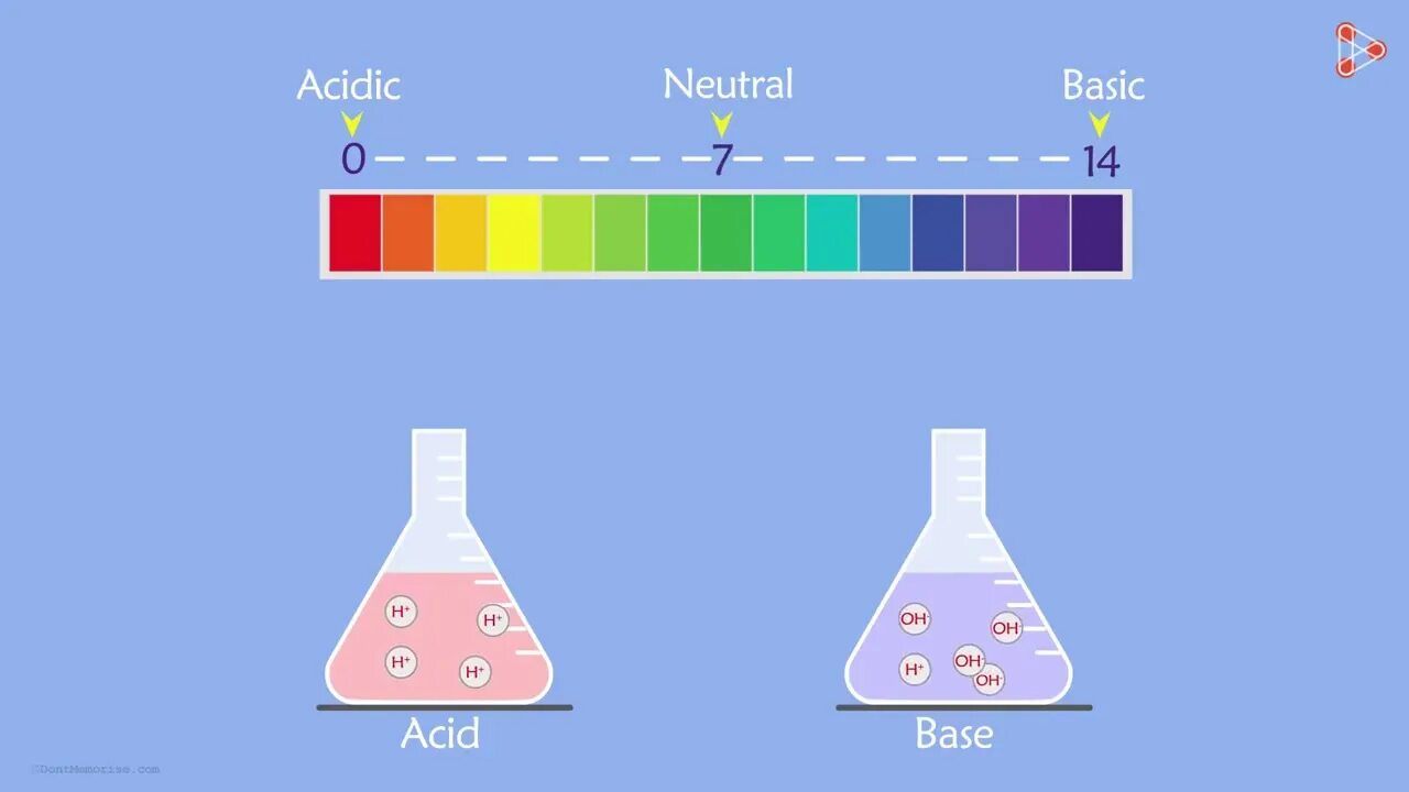 18 1 кислота. Classes of substances acids Bases Salts. Лакмус+ кислота. Zyon Base and Hobzee 125. Why you should not add Alkali to acid spill.