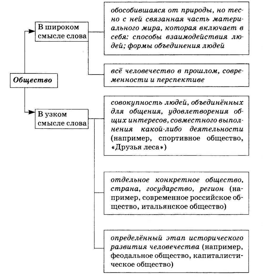 Понятие общества. Общество в широком понятии. Общество в широком и узком смысле. Понятие общество в широком смысле. Способ организации развития человеческой жизнедеятельности