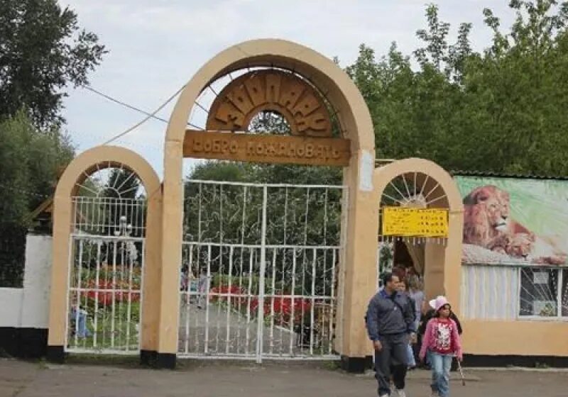 Большереченский государственный зоопарк. Омский большереченский зоопарк. зоопарк в большеречье омской. большереченский зоопарк имени в.д. соломатина.