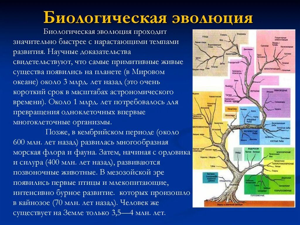 Эволюционная биология это. Определение понятия биологическая Эволюция. Понятие Эволюция в биологии. Развитие это в биологии. Суть биологической эволюции.