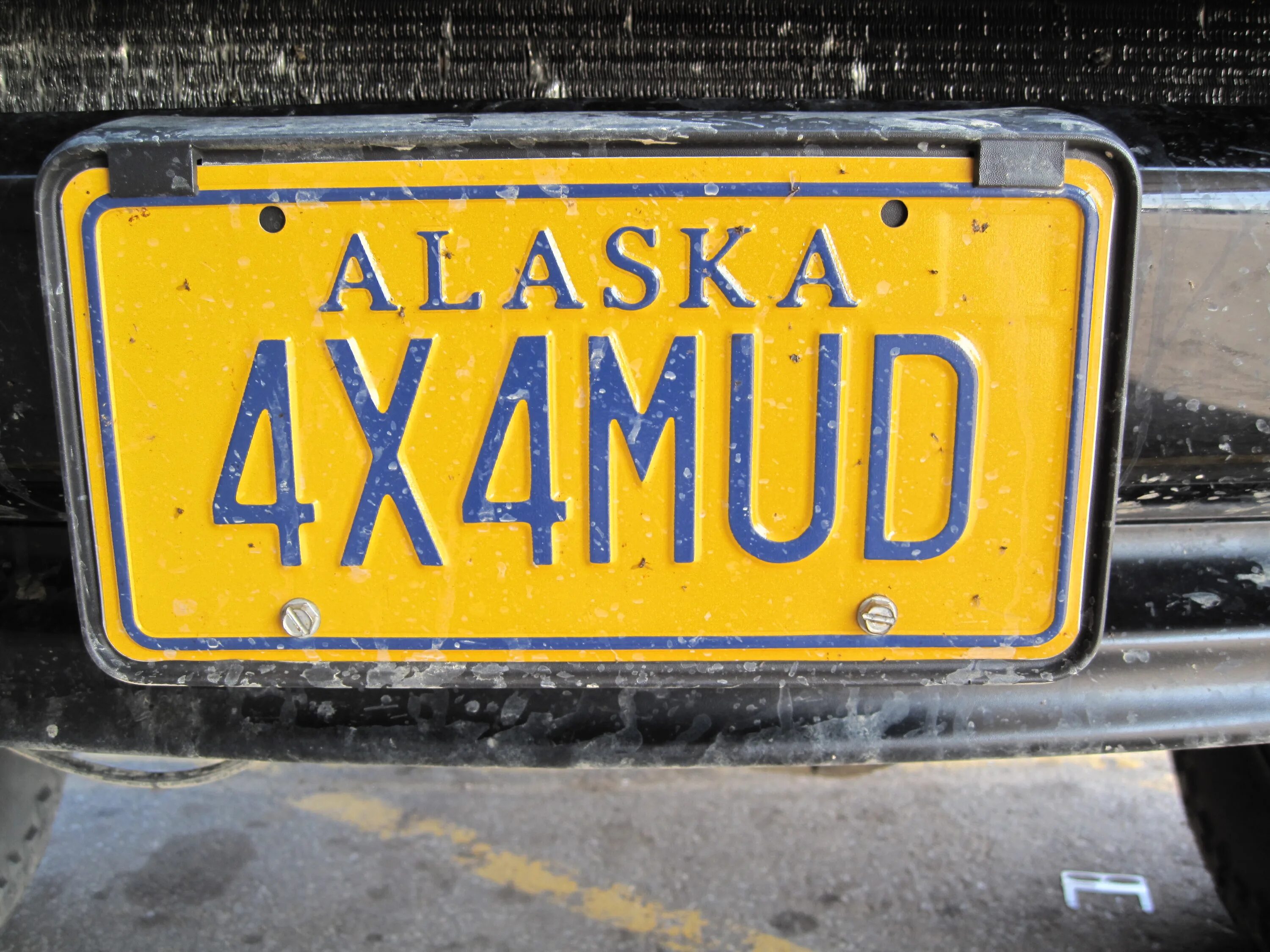 Creative license. Номерные знаки Alaska. Аляска знак. Alaska License Plate. Alaska 1975 License Plate.