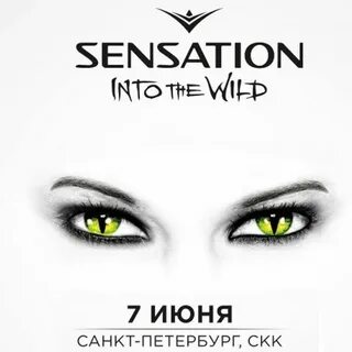 Into sense