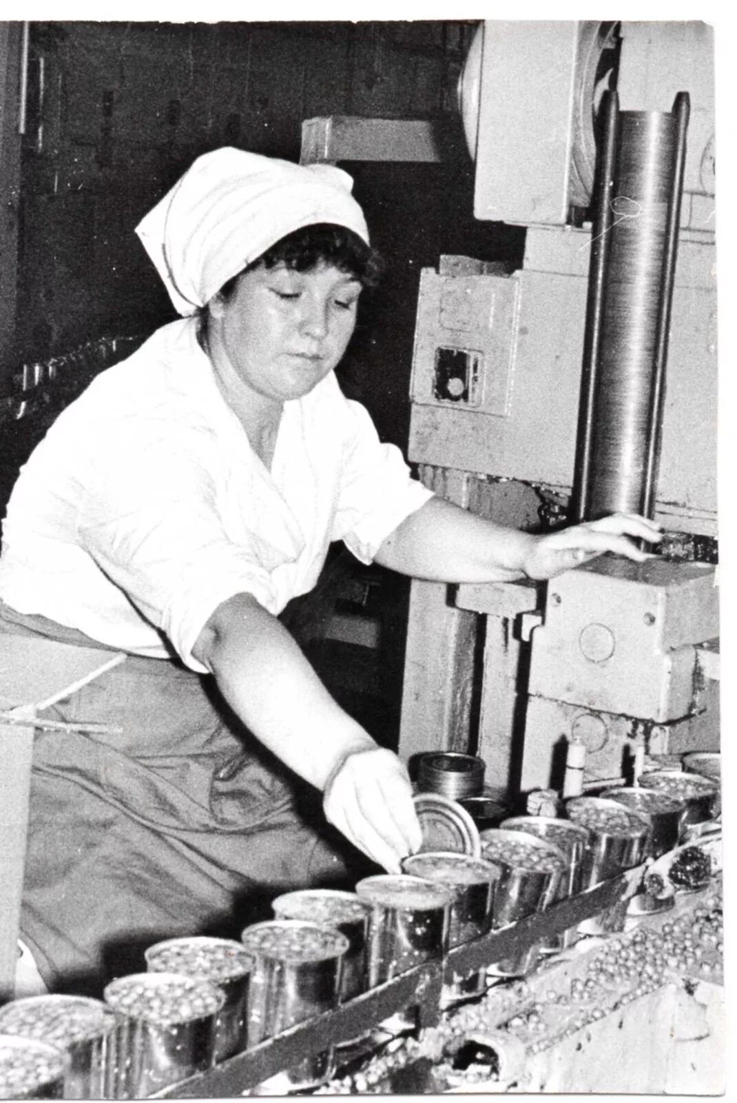 Новоминская краснодарский край. Херсонский консервный завод. Консервный завод суджа. Завод рыба кансерваной завод калелингради. Большебакалдский консервный завод.