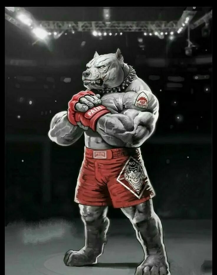 Животные боевые искусства. Ground shark art jiu jitsu. Тигр jiu - jitsu. Булл тигр. Животные боевые искусства.