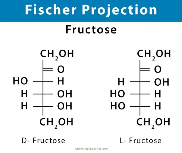 Фруктоза проекция Фишера. Рибоза проекция Фишера. Сорбит проекция Фишера. Глюкозамин проекция Фишера.