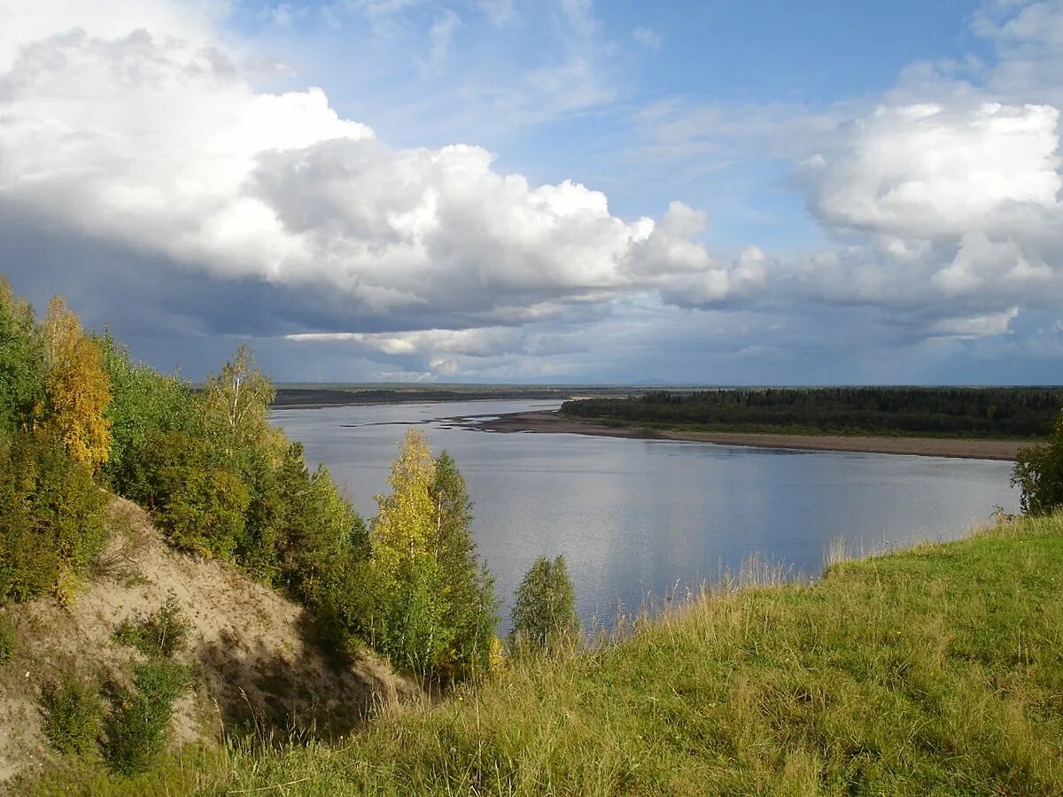 Река печора республика коми. Река Печора. Печора берег речки. Вид реки Печора.