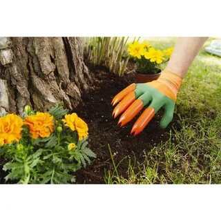 Gardens hands