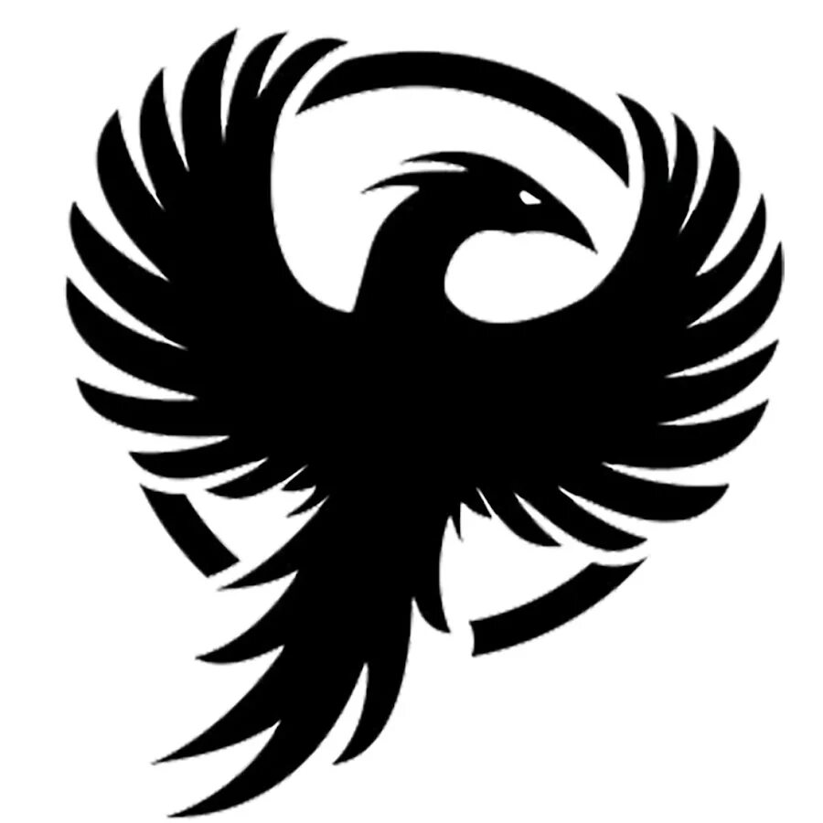 Феникс вектор. Феникс логотип. Птица Феникс PNG. Птица Феникс на черном фоне. Феникс услуги