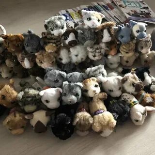 The cat collection
