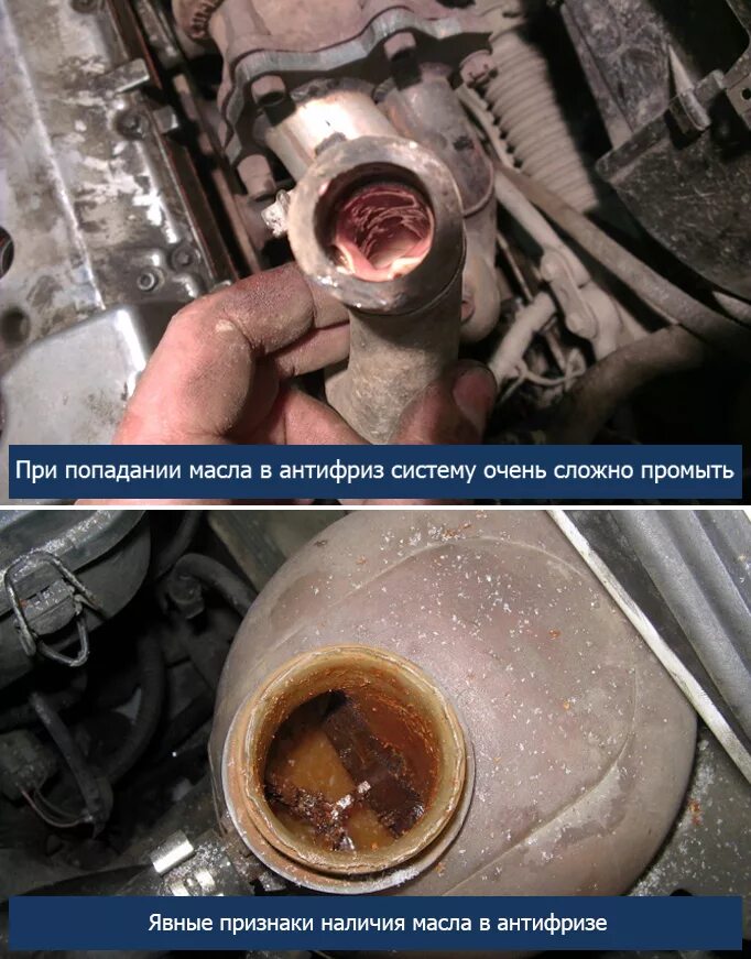 Эмульсия в двигателе причины. Как понять что антифриз уходит в двигатель. Нормальный цвет охлаждающей жидкости. Как понять что антифриз уходит в двигатель. Lacetti 1.