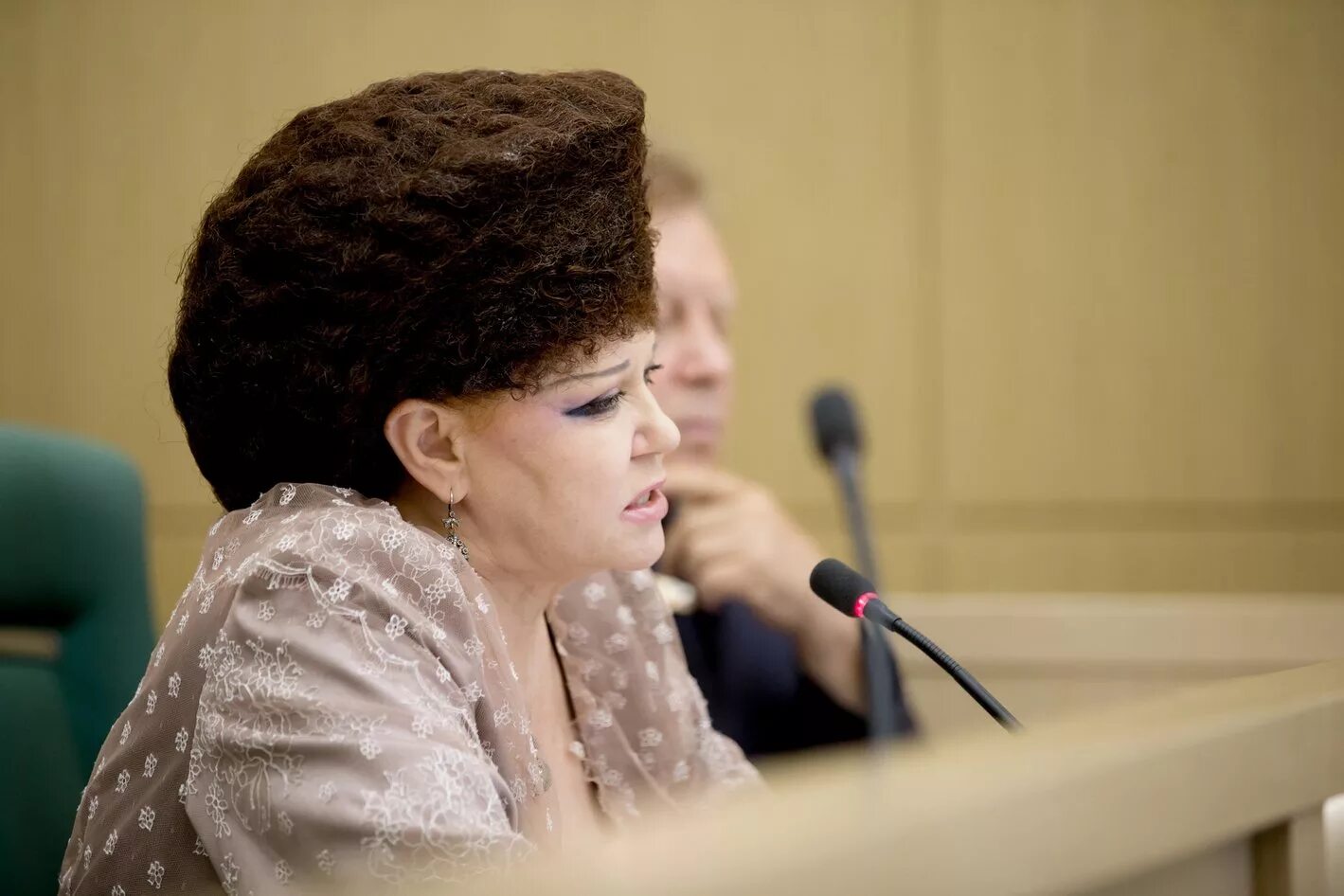 член совета. валентина александровна петренко. образ сенатора. образ сенатора. депутат петренко валентина.