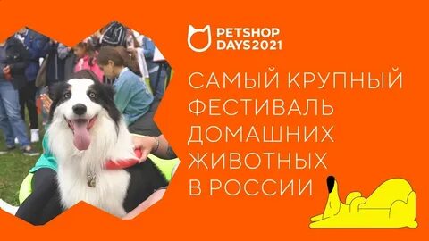 Pets shop days