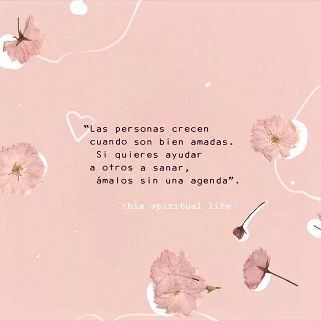 Фразы про милое. Топ анекдотов. Милые маленькие цитаты. Фразы про милое. Милые фразы и цитаты.