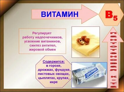 Витамины доклад