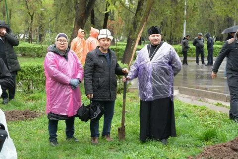 Погода дружба
