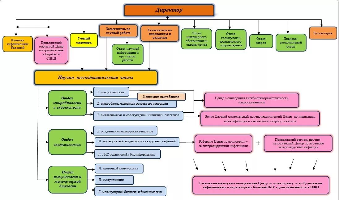 Фгбу эпидемиологии. Структура научно-исследовательского института. Структура научно-исследовательского центра. Организационная структура научно исследовательского института. Структура эпидемиологии.