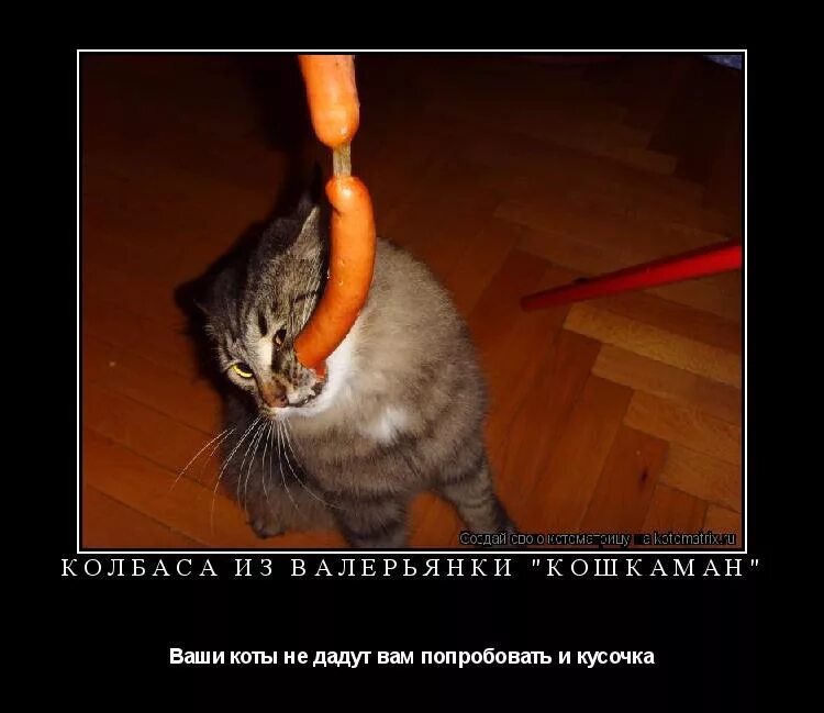 Не в чем себе не отказывай. Ничего не понимаешь в колбасных. Колбаса с обрезкой. Пиво или спорт выбор за тобой фото. Пиво или спорт выбор за тобой фото.