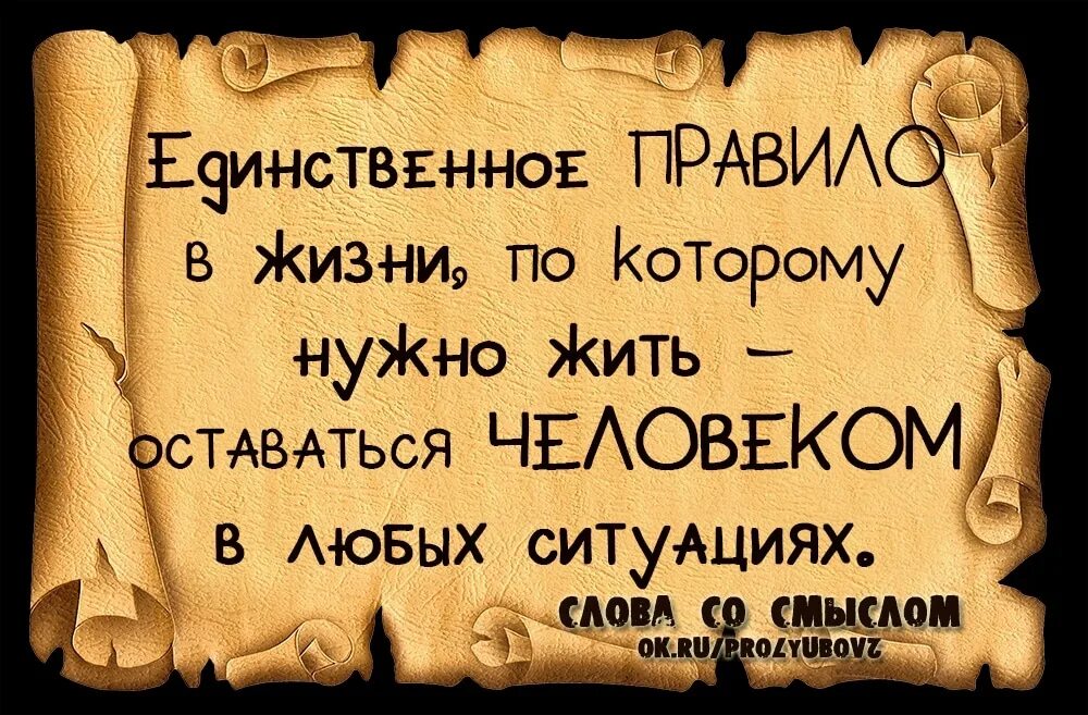 Мудрые выражения. Умные фразы. мудрые мысли. мудрые высказывания. цитаты со смыслом.