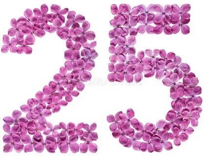 25 twenty five