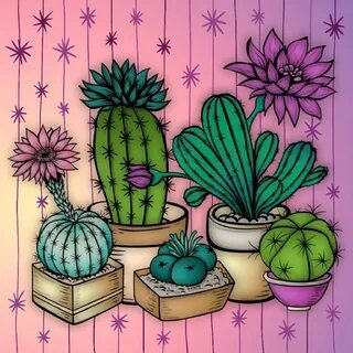 Cute cactus #AD , #sponsored, #AD, #cactus, #Cute  Fotos de cactus, Arte  com cactos, Cactos desenho