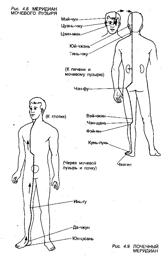 чжи инь. шен пуэр шуаньцзянь менку. точка v67 чжи-инь. вэй чжун точка акупунктуры. точка v67 чжи-инь.