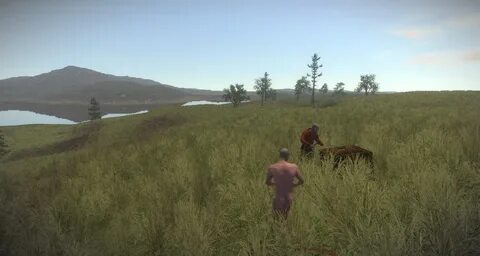Rust 010