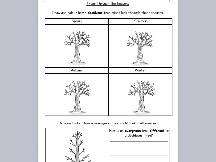 Look at this tree. Types of trees worksheets. deciduous trees worksheets. тест деревья для будущих. worksheets for kids лиственное или хвойные.