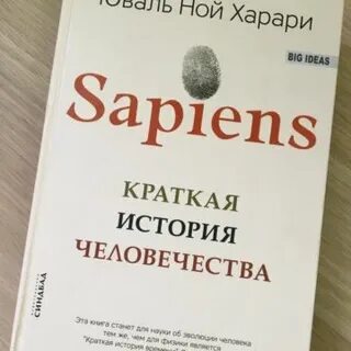 Краткая история человечества читать