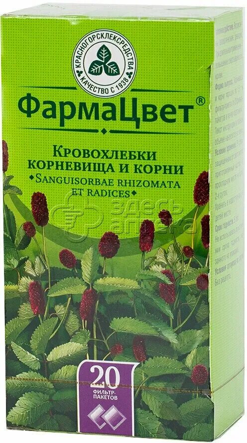 корневища кровохлебки. кровохлёбка лекарственная сырье. корневища кровохлебки. корень кровохлебки. корневища кровохлебки.