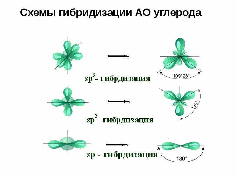 Гибридизация атома c. Sp3-гибридизация атома углерода обусловливает. Виды гибридизации атомных орбиталей (АО) углерода. Гибридизация атомных орбиталей SP sp2- sp3- гибридизация. Sp2 гибридизация схема.