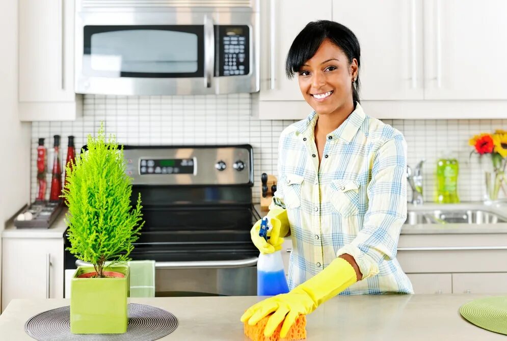 Cleaning maid. Уборка кухни. Чистота в квартире. Женщина на кухне. Убираться по дому.