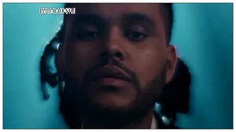The weeknd die for you