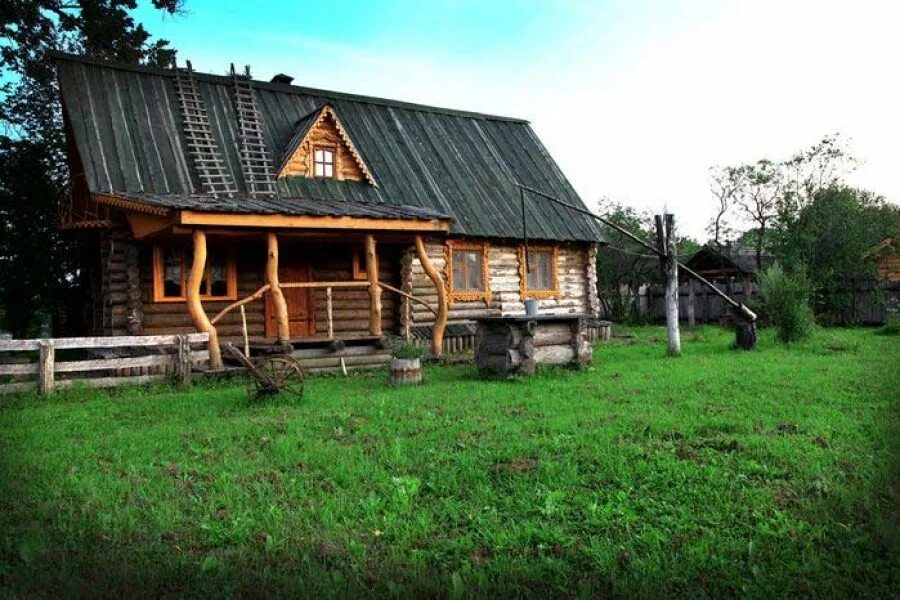 Сафари парк калужская область отель. Гамзюки калужская область. Сафари парк лесные угодья. Сафари парк гамзюки калужская область износковский. Сафари парк лесные угодья.