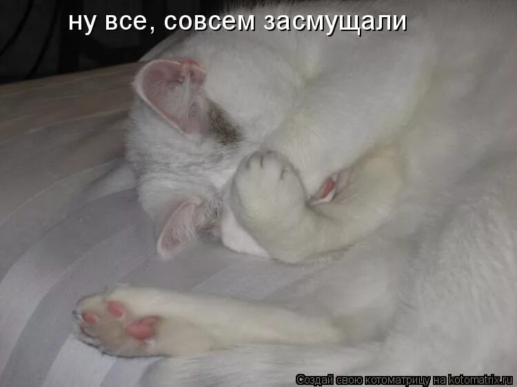 Совесть надпись. Слово скоро. Магазин закрыт совсем. Одобрено гиф. Всероссийском конкурсе «точка отсчета».