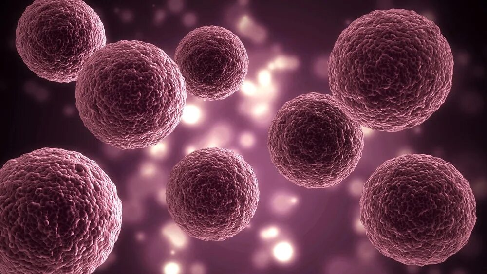 Геном escherichia coli. Синтетическая бактерия синтия. Синтетическая живая клетка. Mycoplasma capricolum. Mycoplasma mycoides jcvi-syn1.