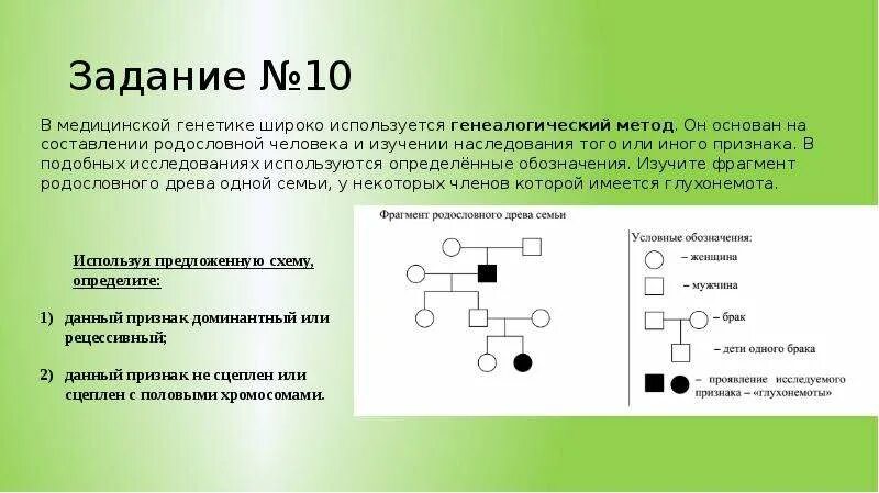 Родословная биология 11 класс. Родословная биология 9 класс генетика. Задачи на составление родословий. Задания генетика генеалогический метод. Составление и анализ родословной.