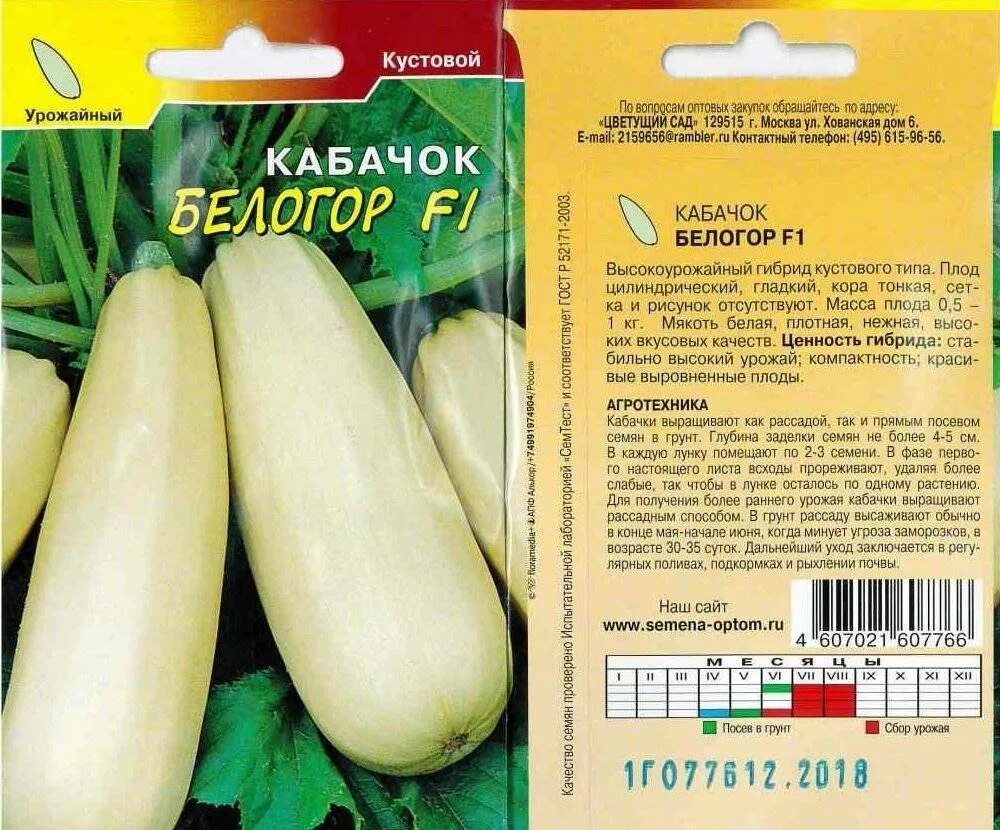 Лучшие сорта кустовых кабачков для открытого грунта