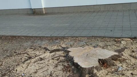 Ростов разрушения